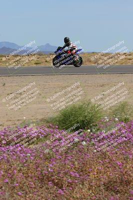 media/Mar-12-2023-SoCal Trackdays (Sun) [[d4c8249724]]/Turn 15 Inside Bloom (130pm)/